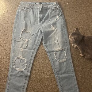 Light Wash Distressed Straight Leg Jeans